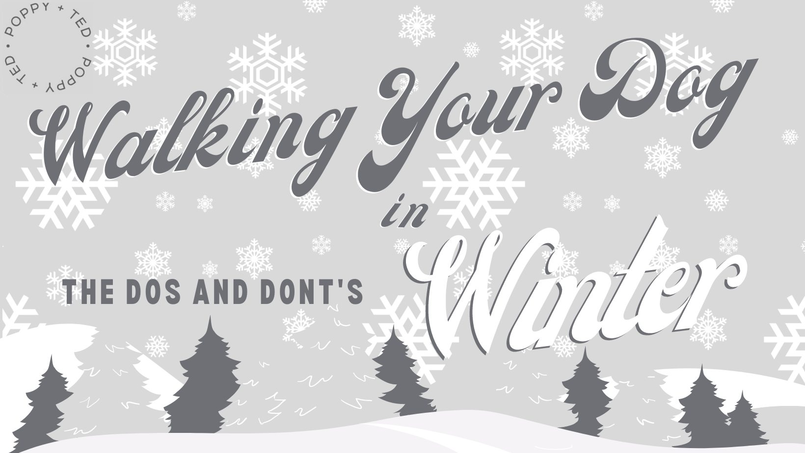 Walking Your Dog In Winter The Do’s and Dont’s Poppy & Ted Poppy + Ted