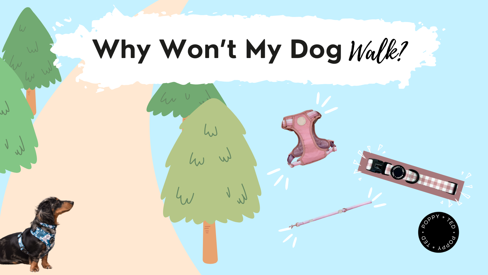 Why Won’t My Dog Walk? Tips and Advice for Reluctant Walkers Poppy + Ted