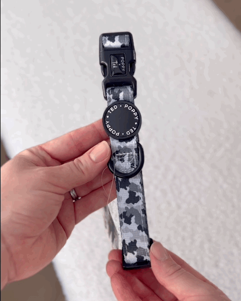 Walk + Wear | Dog Collar | The Camo
