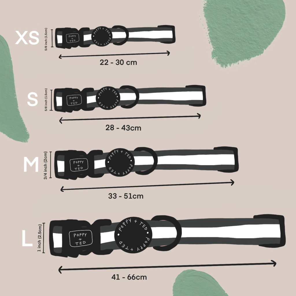 Dog Collar | Flower Patch