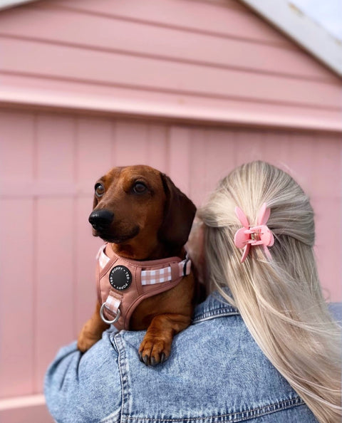Luxe Collection | 3-Click Tough Harness | Tan Plaid