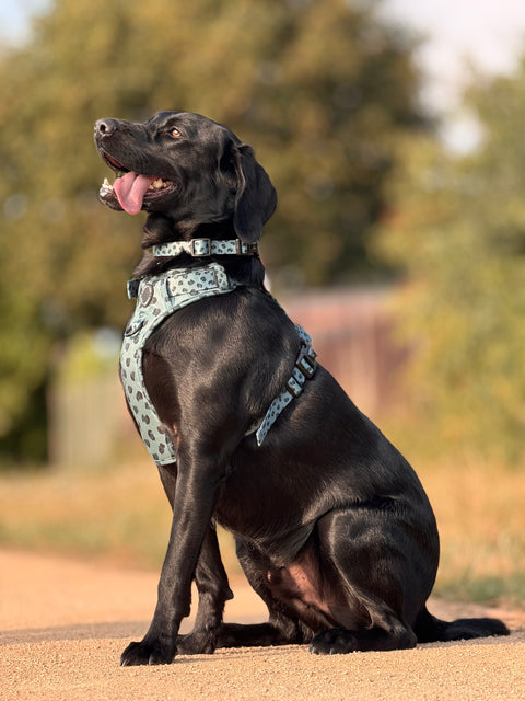 3-Click Tough Step-in Dog + Puppy Harness | Wild Leopard Khaki