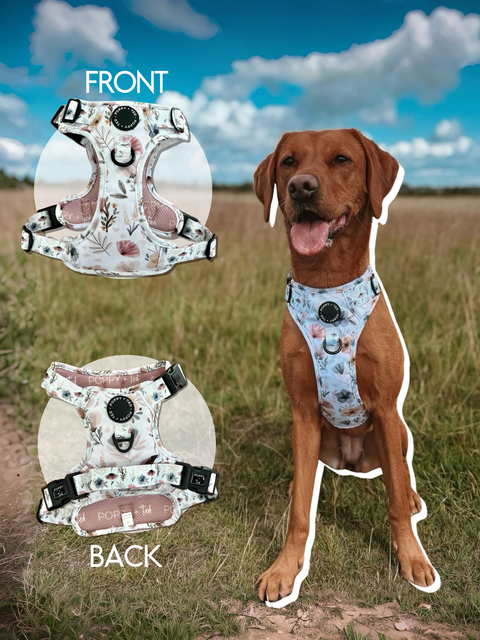3-Click Tough Step-in Dog + Puppy Harness | Pressed Petal