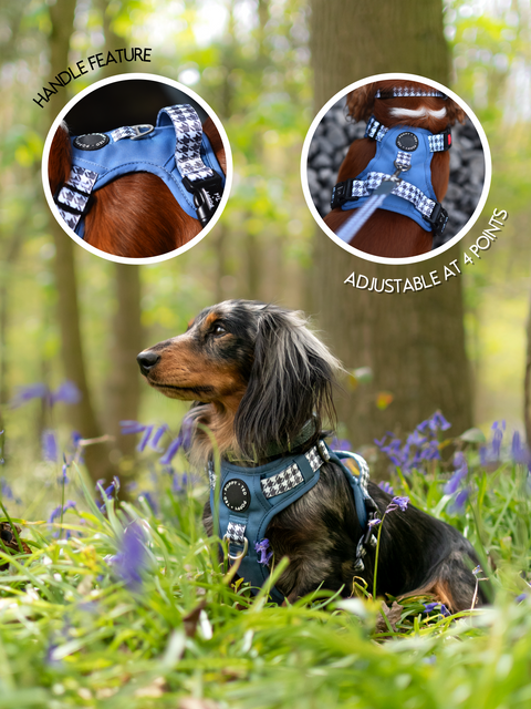 Luxe Collection | 3-Click Tough Harness | Blue Houndstooth