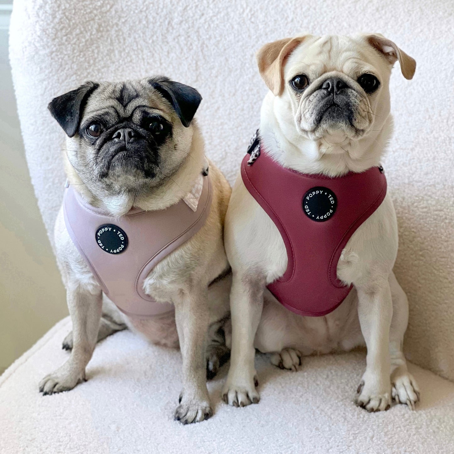 Luxe Collection | Adjustable Dog Harness | Nude Leopard