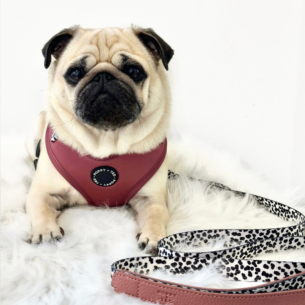 Luxe Collection | Adjustable Dog Harness | Berry Dalmatian