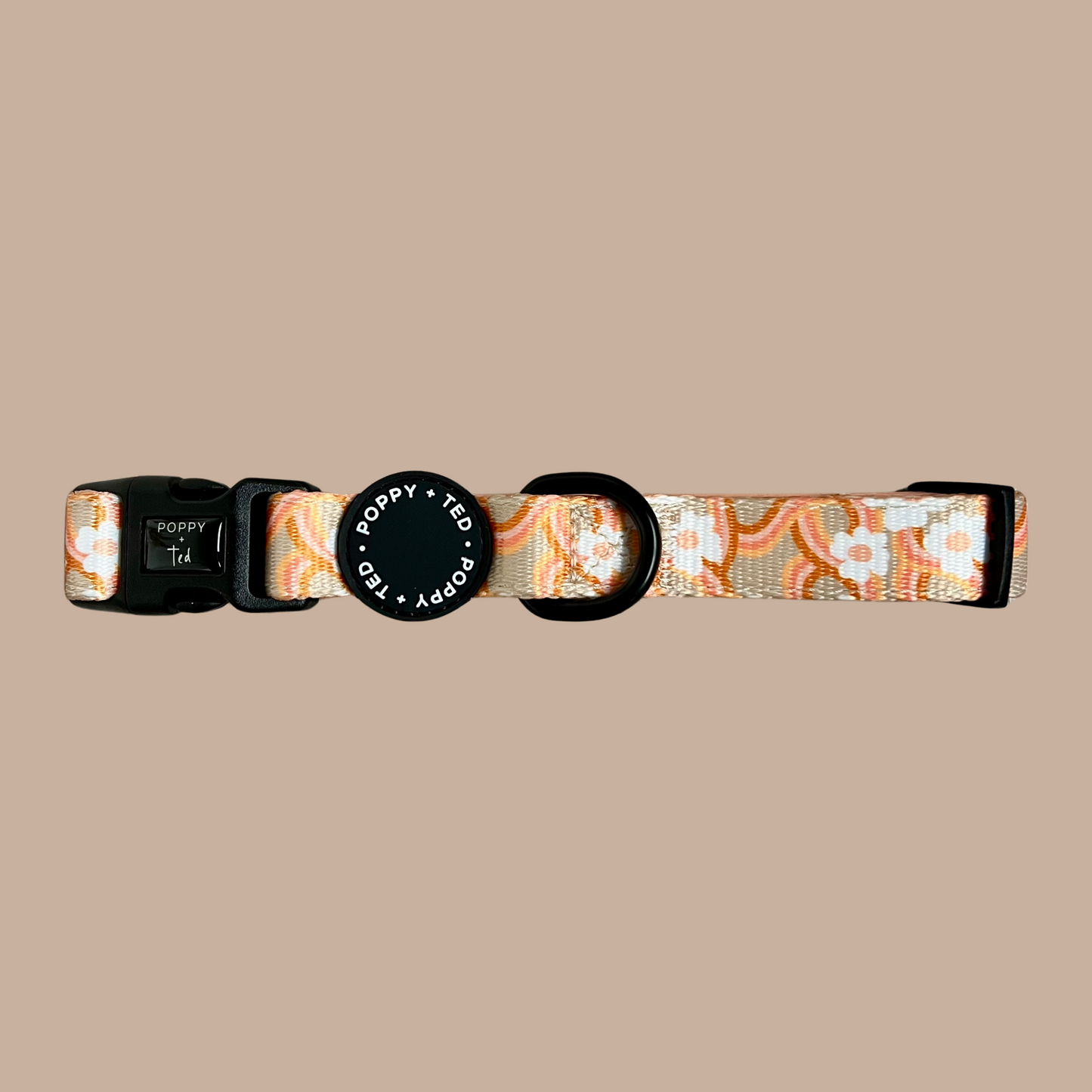 Dog Collar | Marshmallow Maize