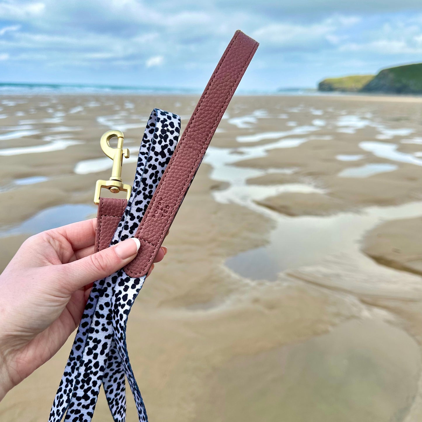 Luxe Collection | Dog Lead | Berry Dalmatian