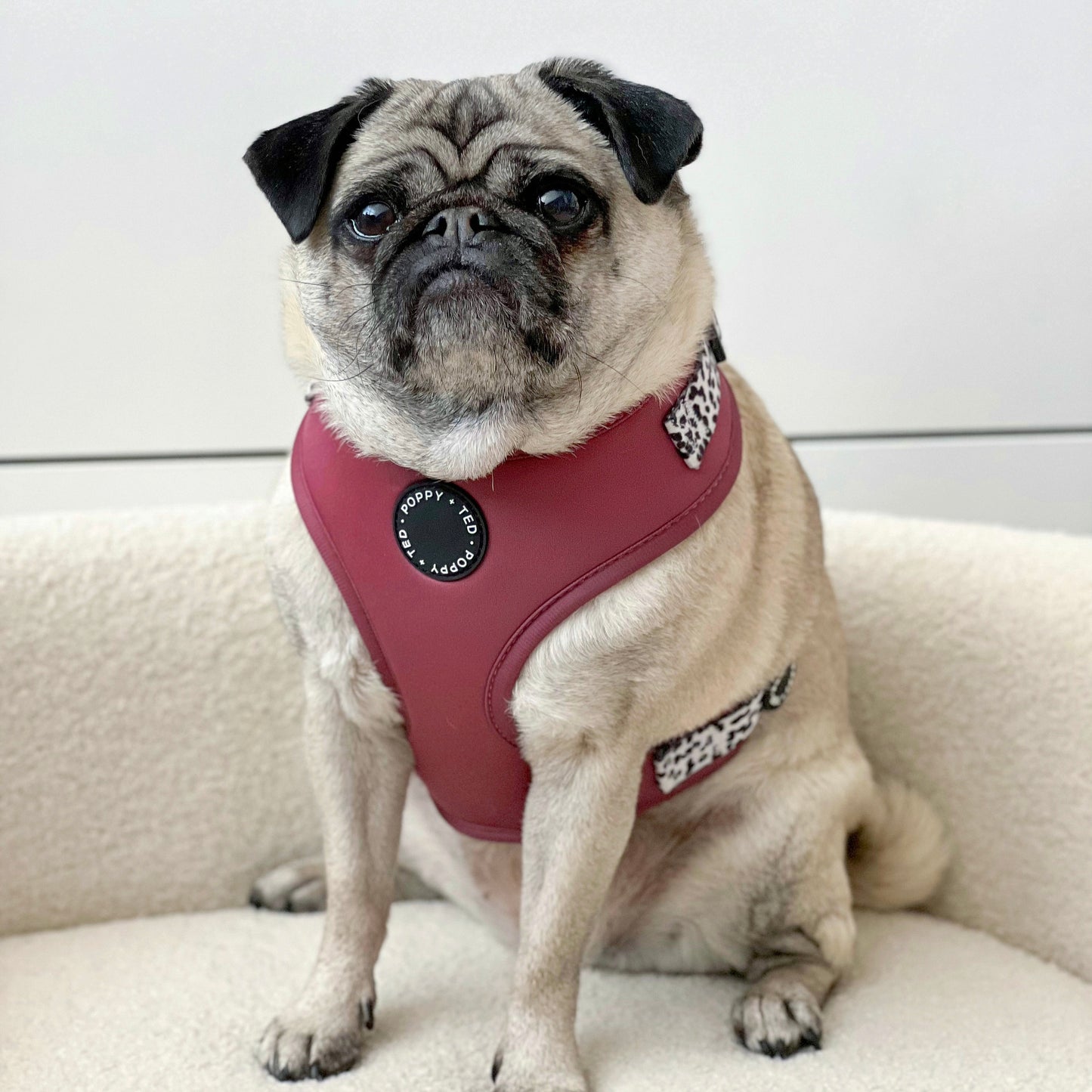 Luxe Collection | Adjustable Dog Harness | Berry Dalmatian
