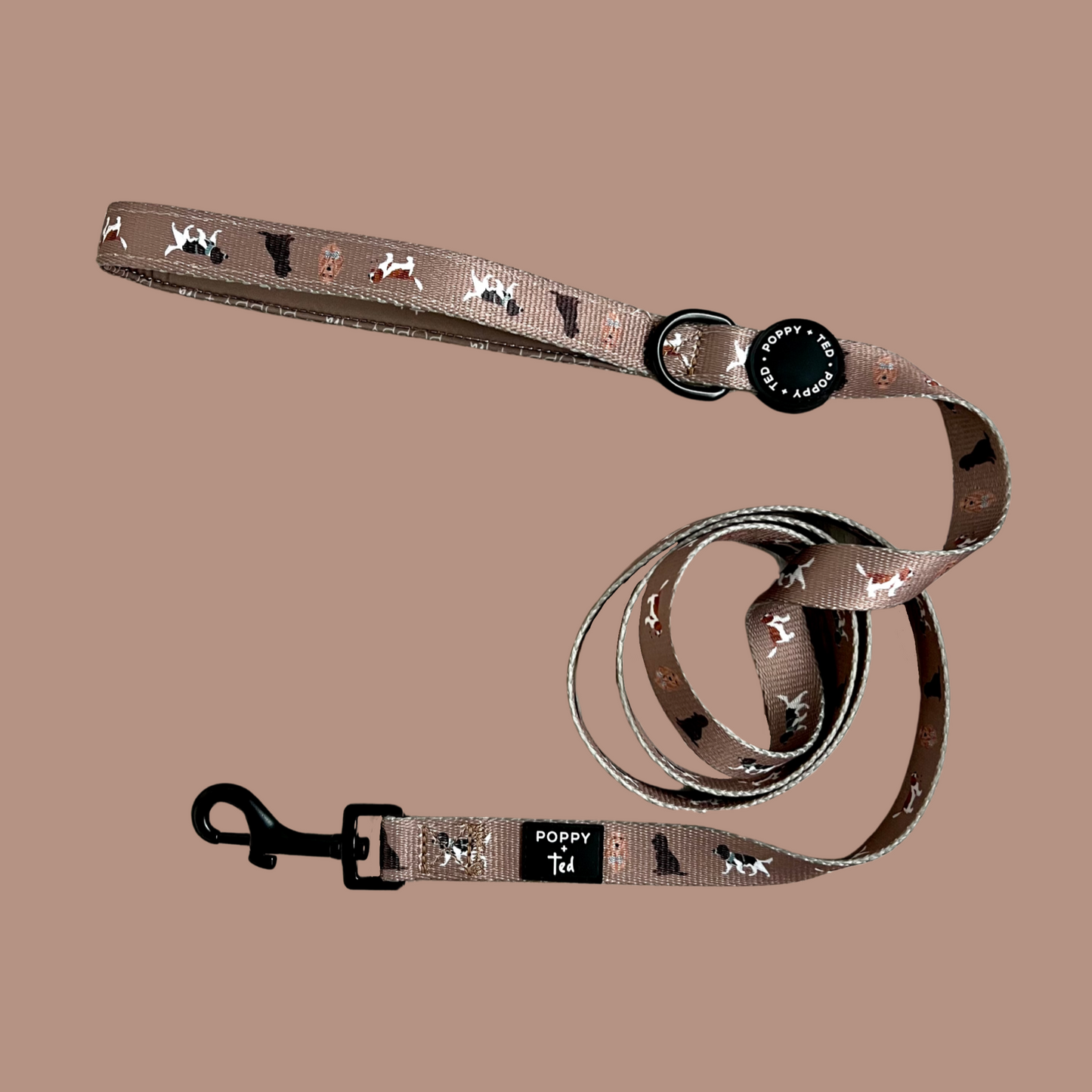 Cavalier / King Charles / Cocker Spaniel Lead: Breed Collection