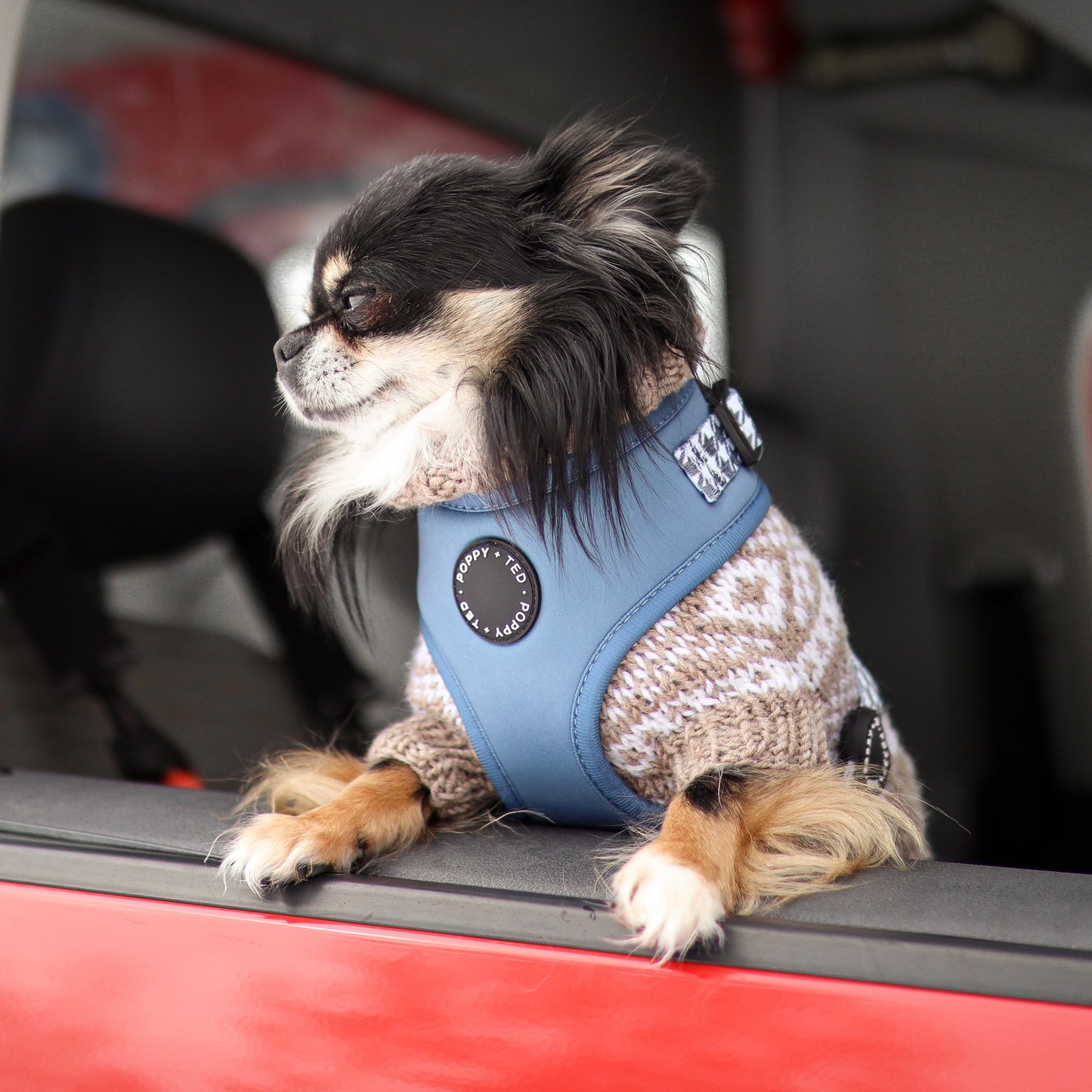 Luxe Collection | Adjustable Dog Harness | Blue Houndstooth