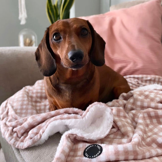 Home Collection | Dog Blanket | Luxe Tan Plaid