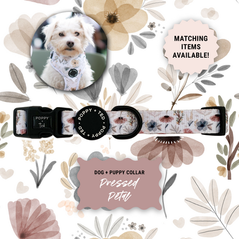 Walk + Wear | Dog Collar | Pressed Petal