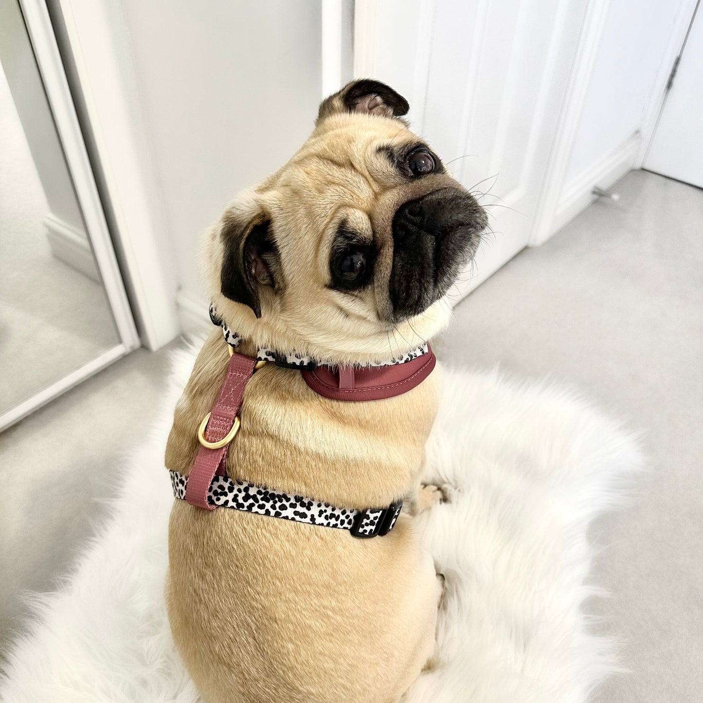 Luxe Collection | Adjustable Dog Harness | Berry Dalmatian
