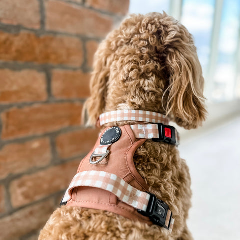 Luxe Collection | 3-Click Tough Harness | Tan Plaid