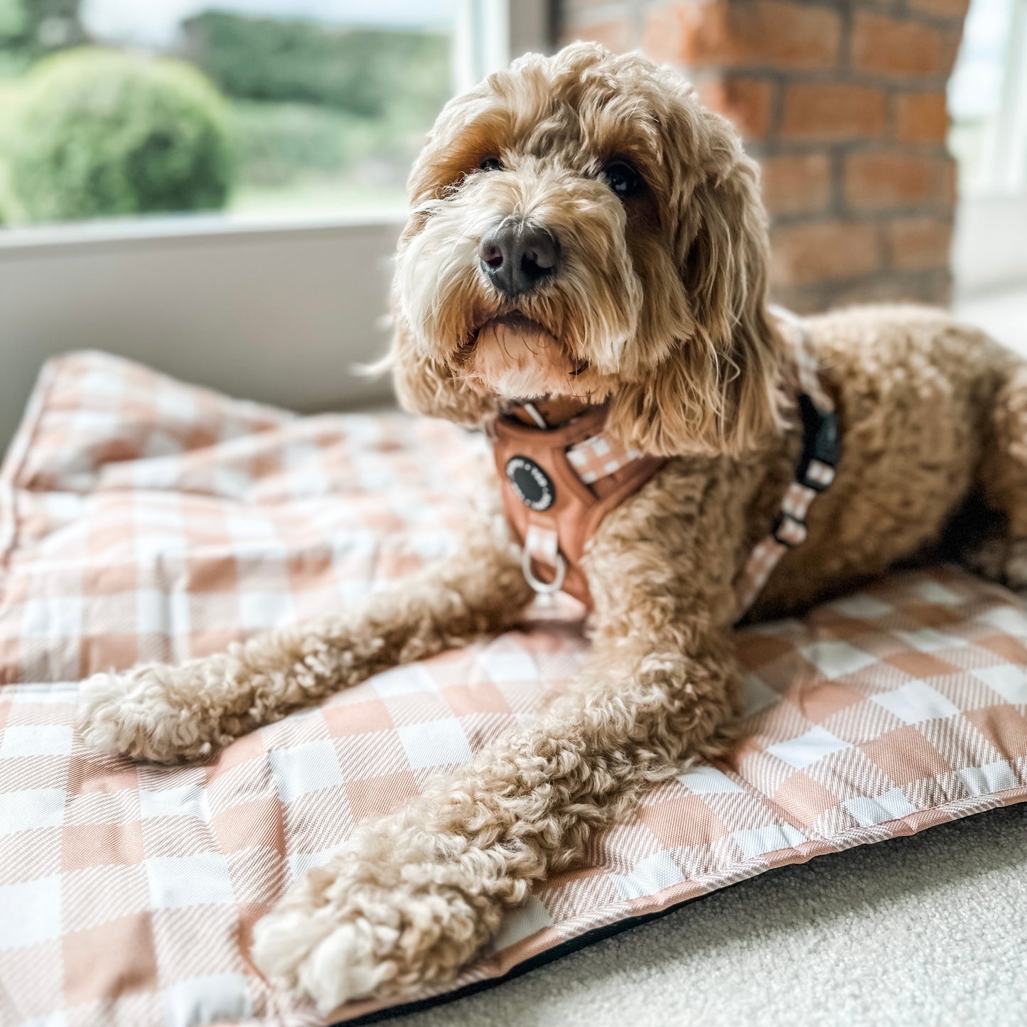 Home Collection | Dog Travel Mat | Luxe Tan Plaid