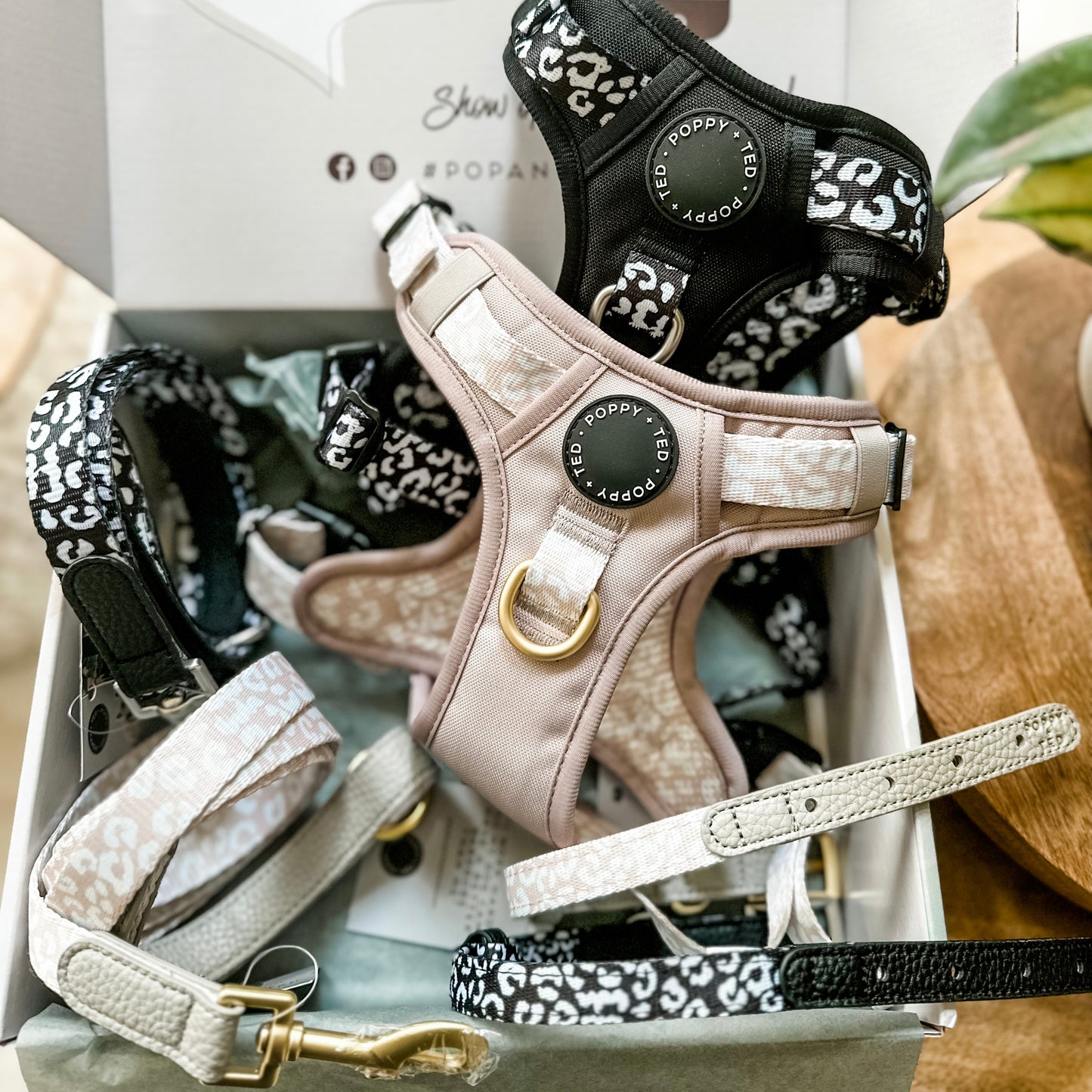 Luxe Collection | Dog Lead | Black Leopard
