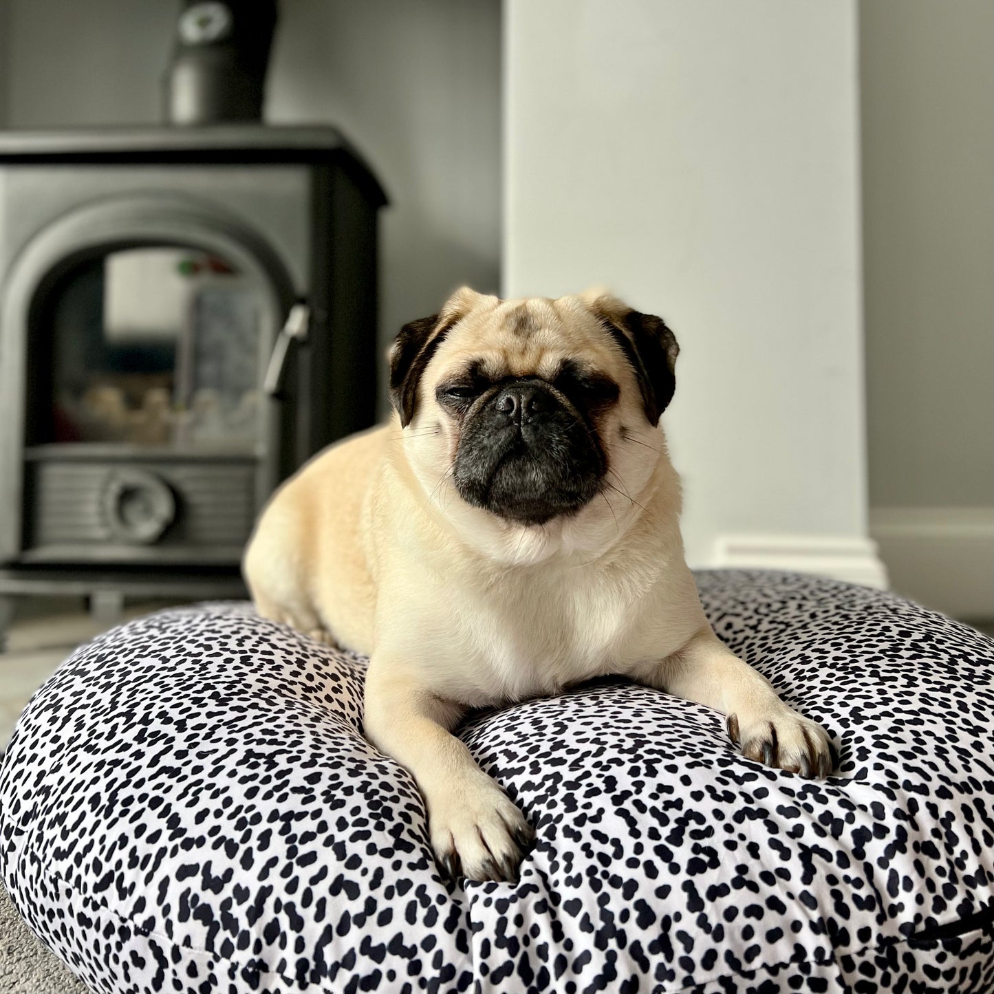 Dalmatian Print Dog Bed | Luxe Collection
