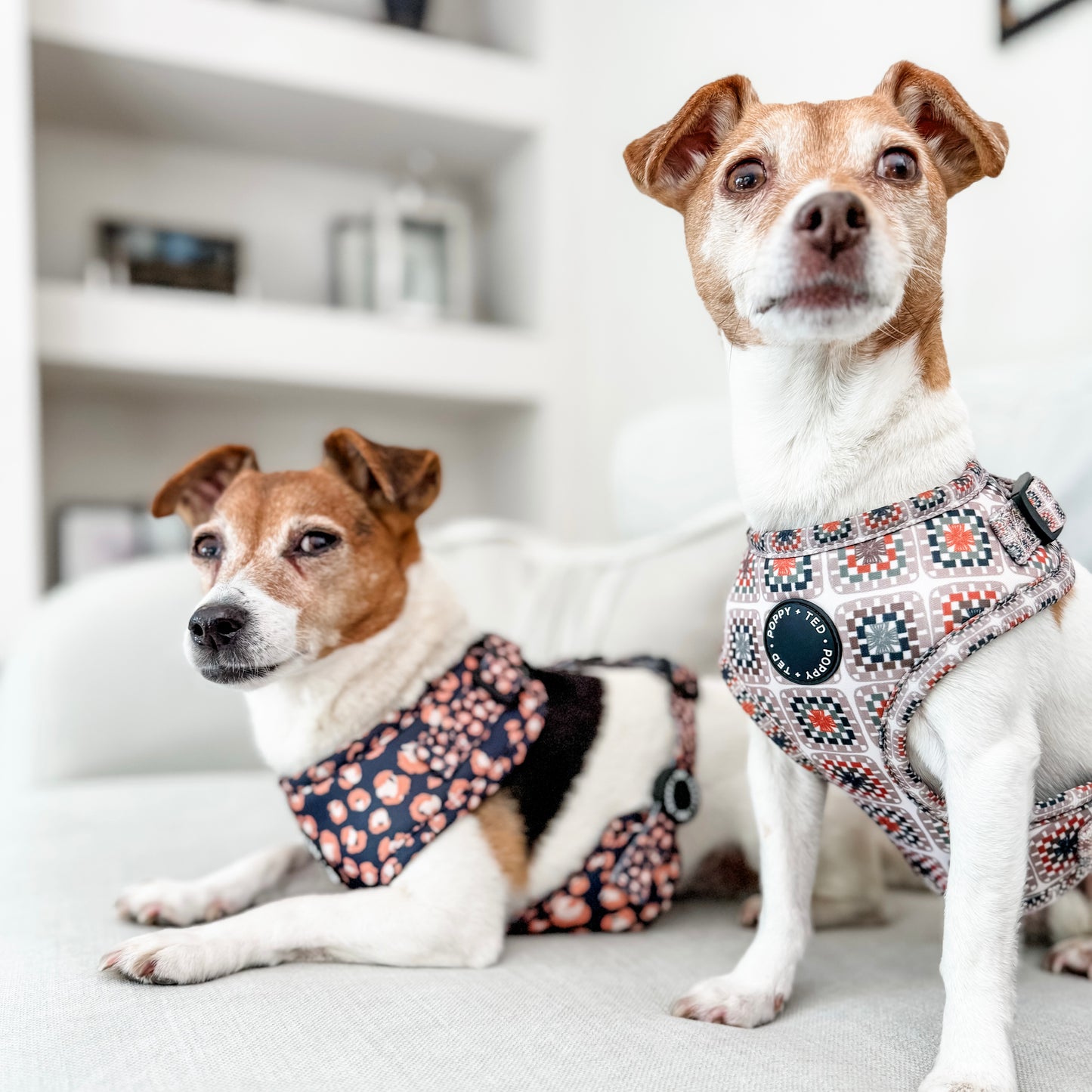 Adjustable Dog Harness | Caramel Leopard