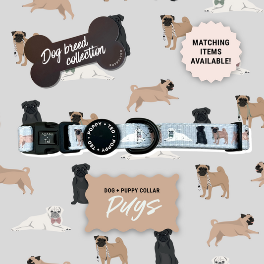 Pug Collar: Breed Collection