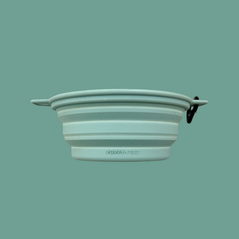 Green Collapsing Dog Bowl | Luxe Collection