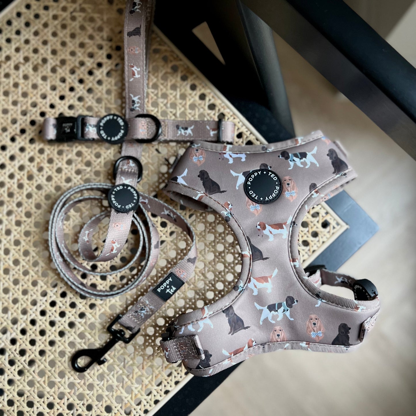 Cavalier / King Charles / Cocker Spaniel Collar: Breed Collection