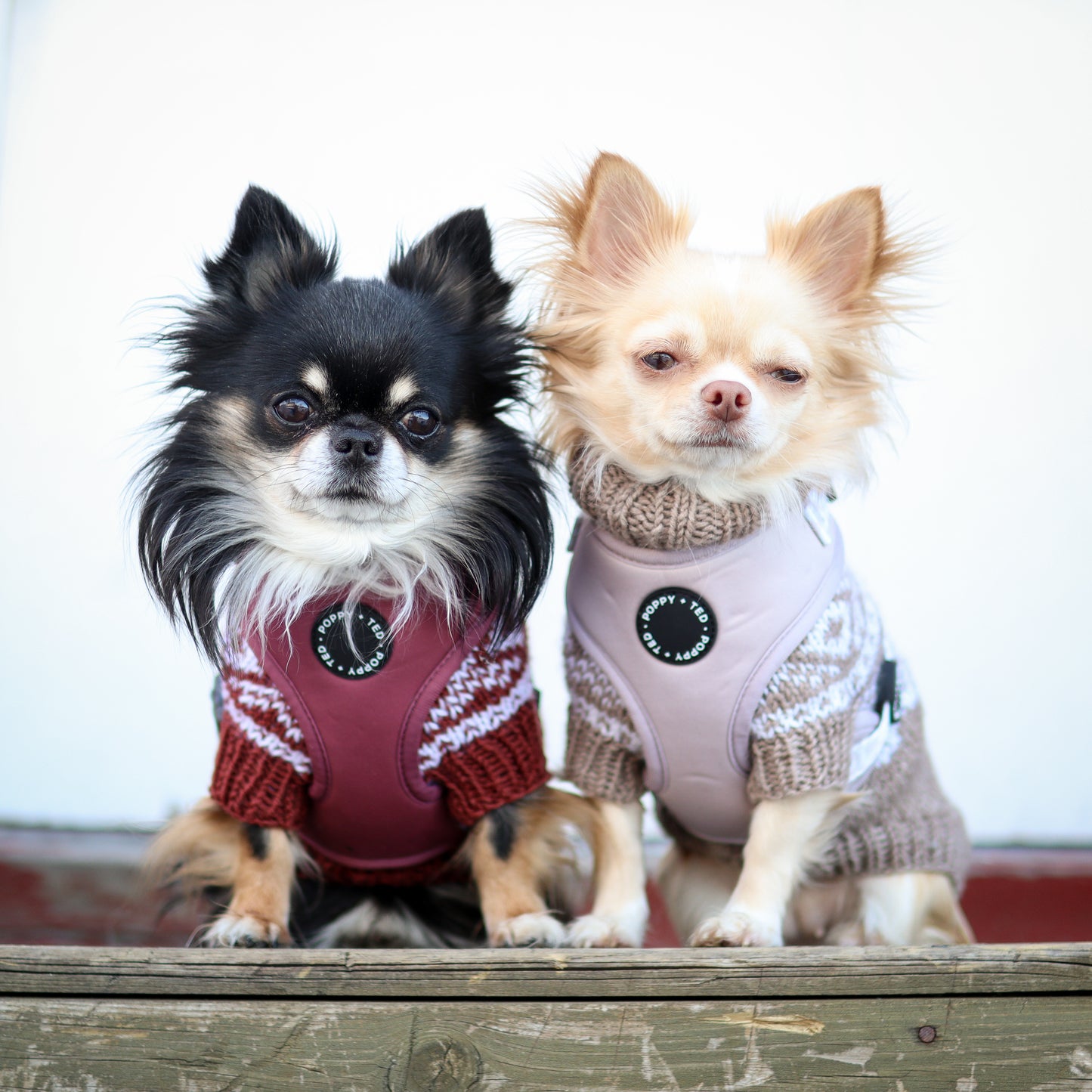 Luxe Collection | Adjustable Dog Harness | Nude Leopard