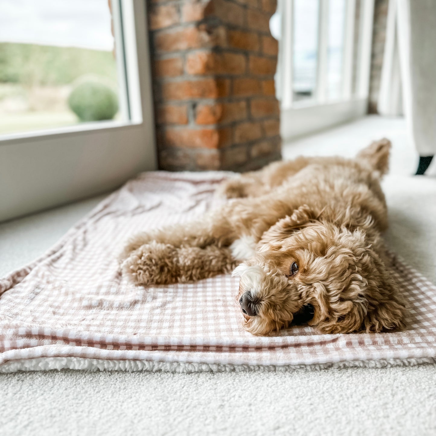 Home Collection | Dog Blanket | Luxe Tan Plaid