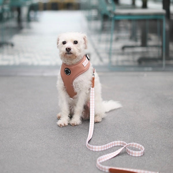 Luxe Collection | Dog Lead | Tan Plaid
