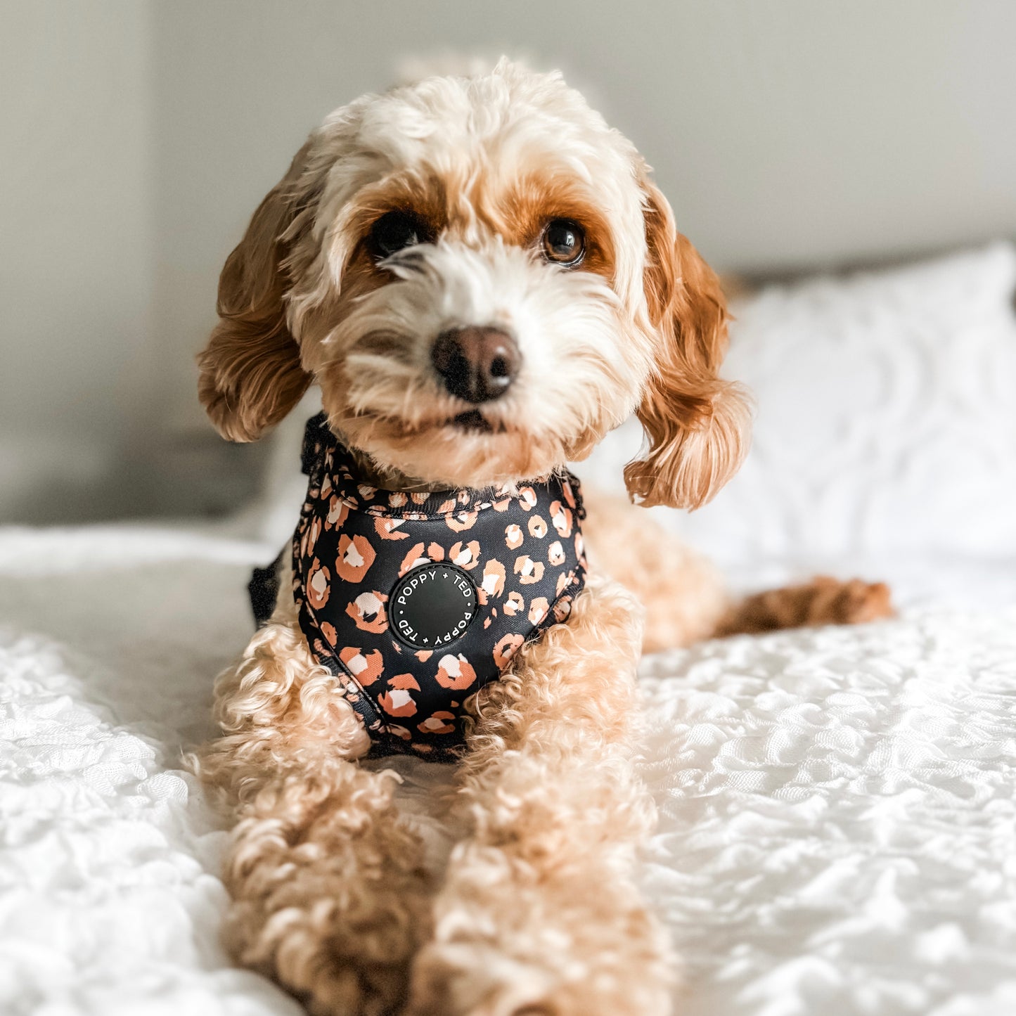 Adjustable Dog Harness | Caramel Leopard