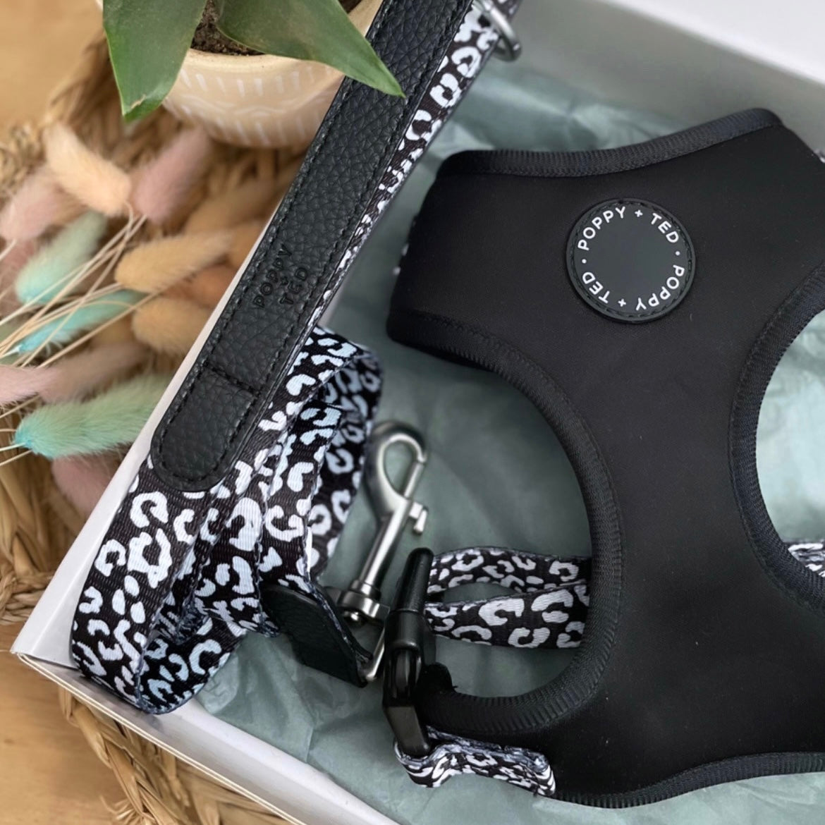 Luxe Collection | Dog Lead | Black Leopard