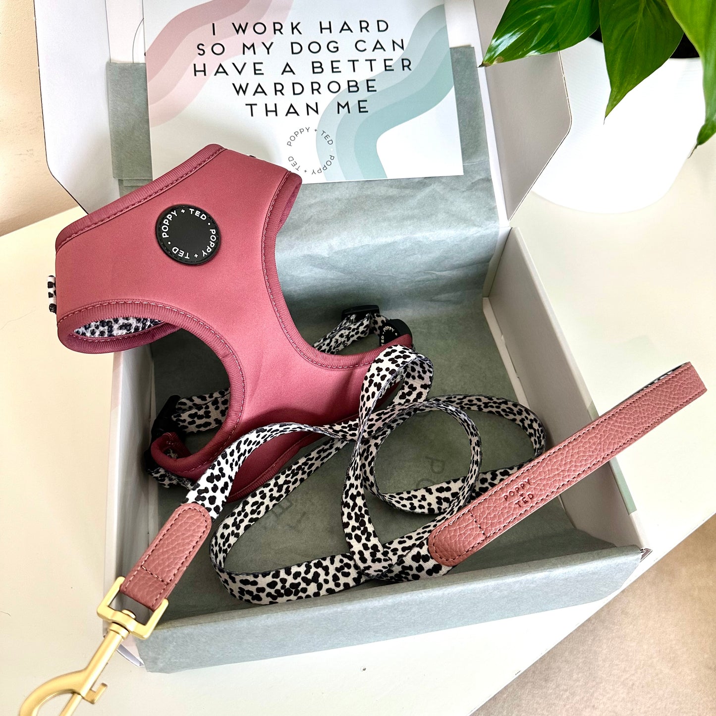 Luxe Collection | Dog Lead | Berry Dalmatian
