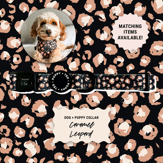 Dog Collar | Caramel Leopard