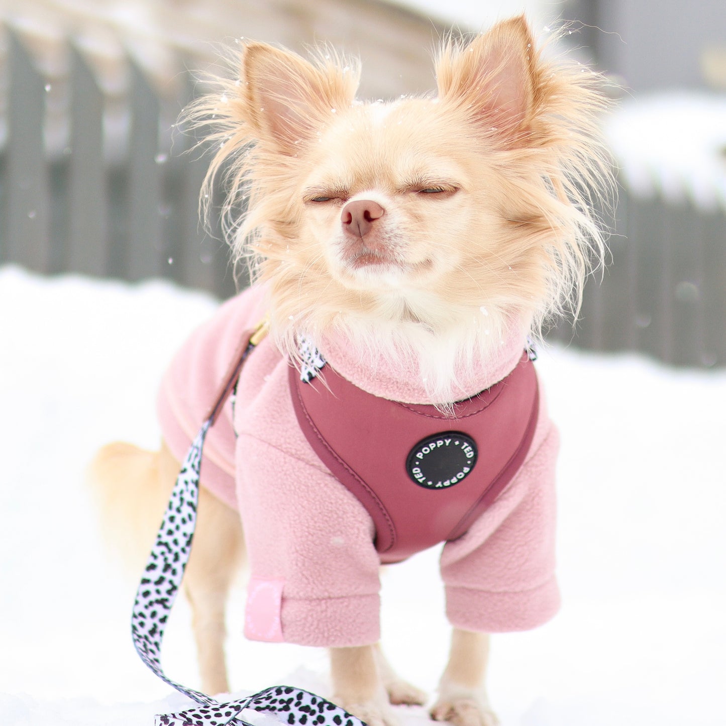 Luxe Collection | Adjustable Dog Harness | Berry Dalmatian