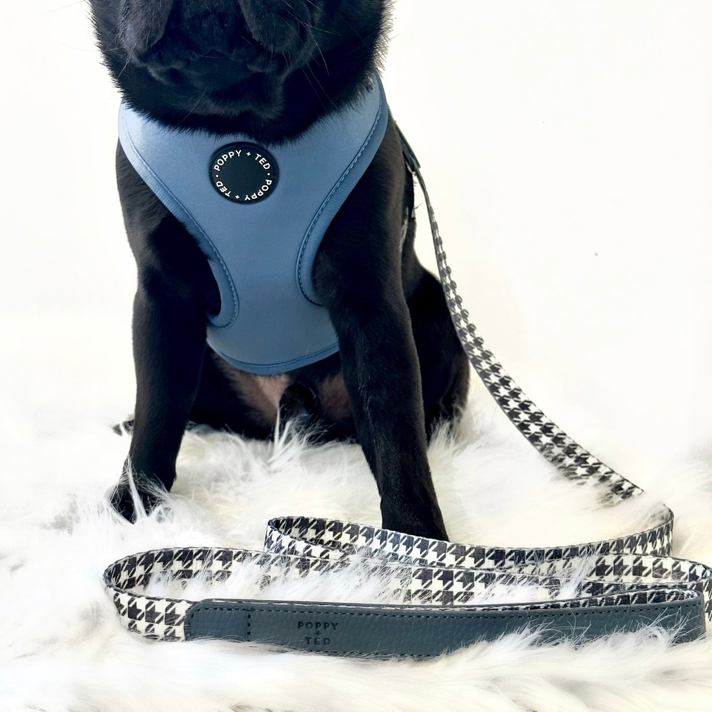 Luxe Collection | Dog Lead | Blue Houndstooth