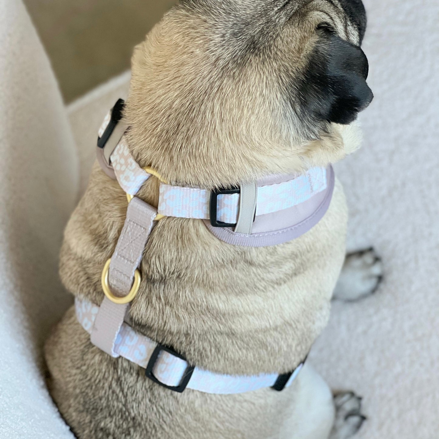 Luxe Collection | Adjustable Dog Harness | Nude Leopard