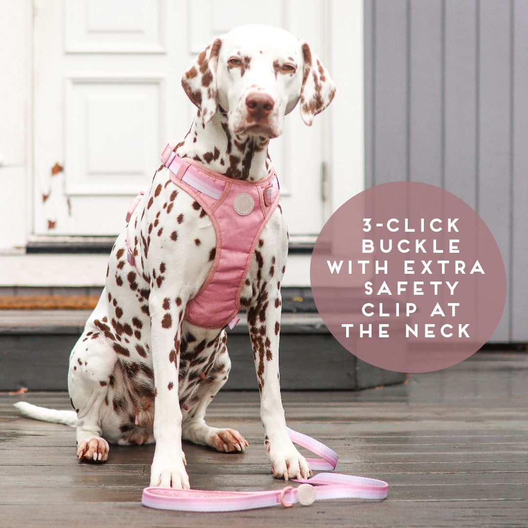 Ombré Essentials | 3-Click Tough Harness | Rose Pink