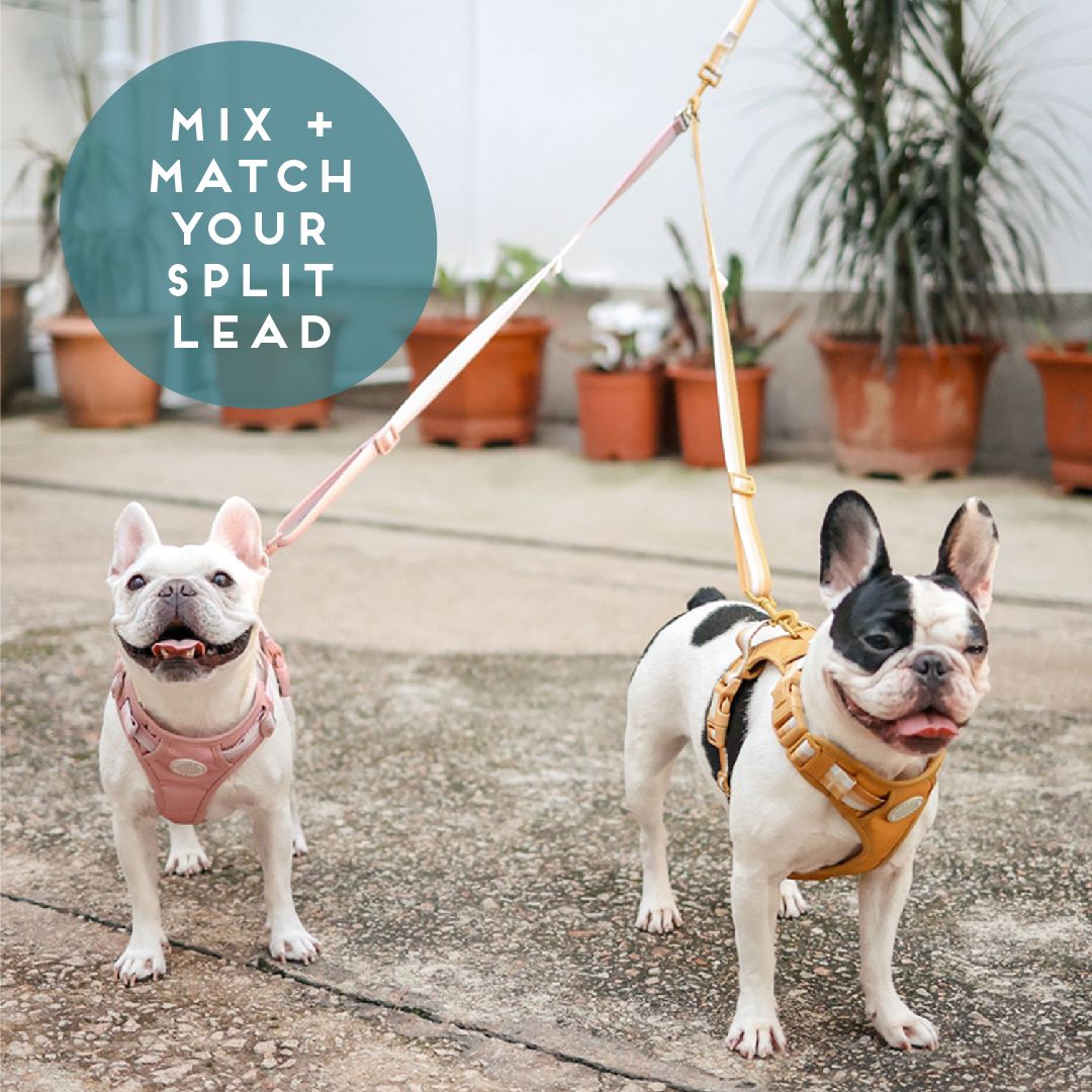 Ombré Essentials | Dog Split Lead - Splitter Attachment | Auburn Orange - SOLD OUT