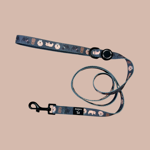 Cockapoo/Cavapoo/Doodle Lead: Breed Collection