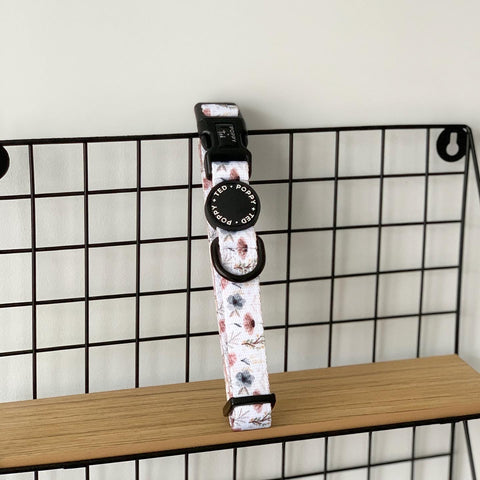 Walk + Wear | Dog Collar | Pressed Petal