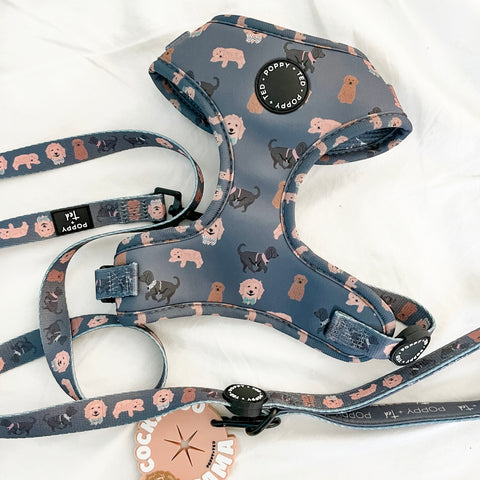 Cockapoo/Cavapoo/Doodle Lead: Breed Collection