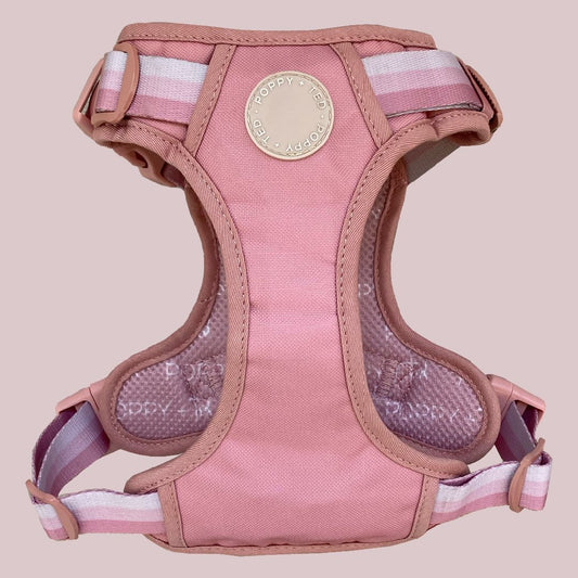 Ombré Essentials | 3-Click Tough Harness | Rose Pink