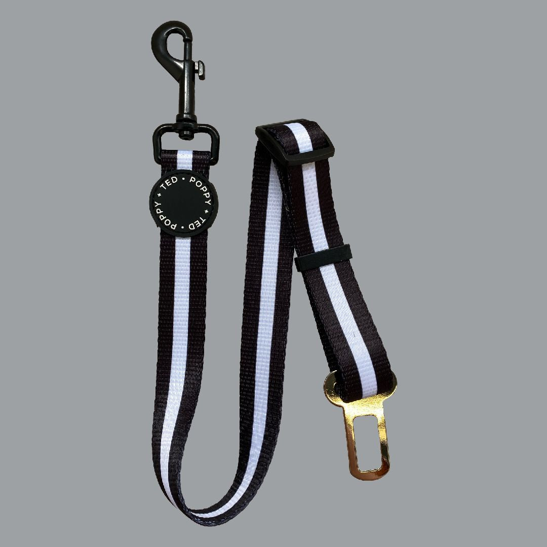 Ombré Essentials | Dog Car Seat Belt | Jet Black - SOLD OUT