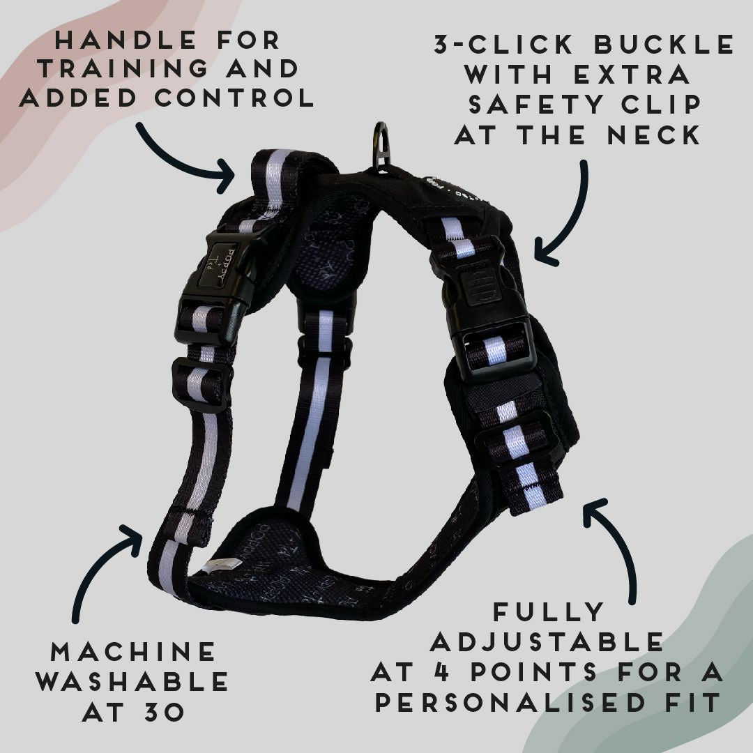 Ombré Essentials | 3-Click Tough Harness | Jet Black