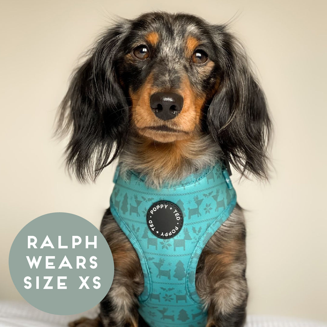 Walk + Wear | Adjustable Harness | Festive Fair Isle