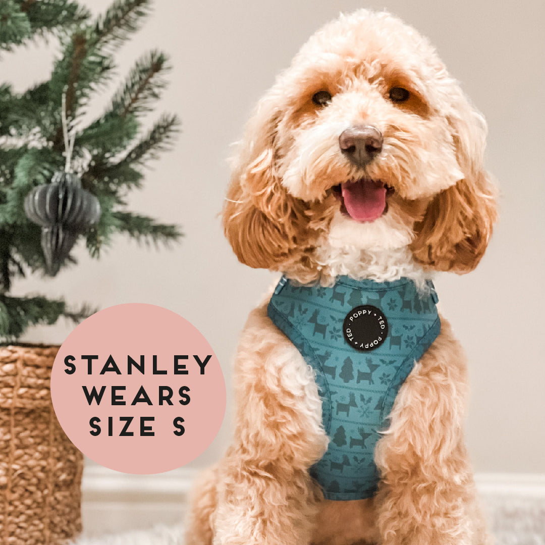 Walk + Wear | Adjustable Harness | Festive Fair Isle