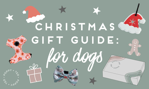 christmas gifts for dogs