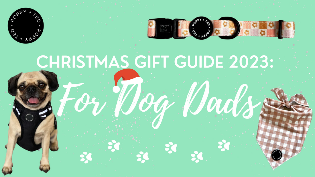 5 Pawsome Gifts for Dog Dads this Christmas