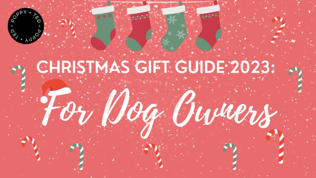 Christmas Gift Guide 2023: For Dog Owners