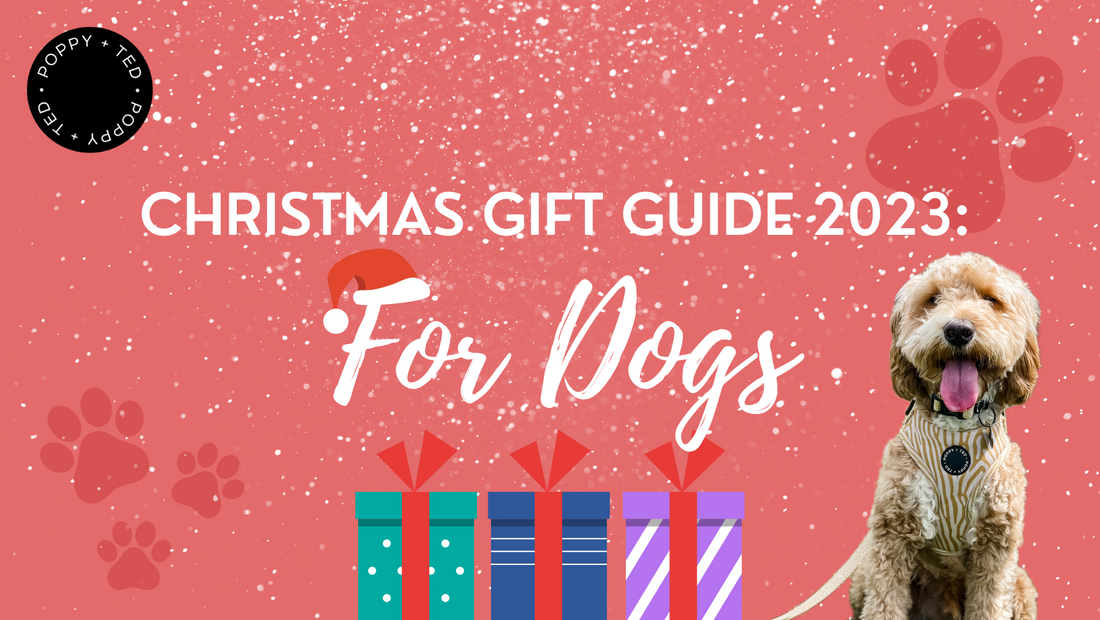 Christmas Gift Guide 2023: For Dogs